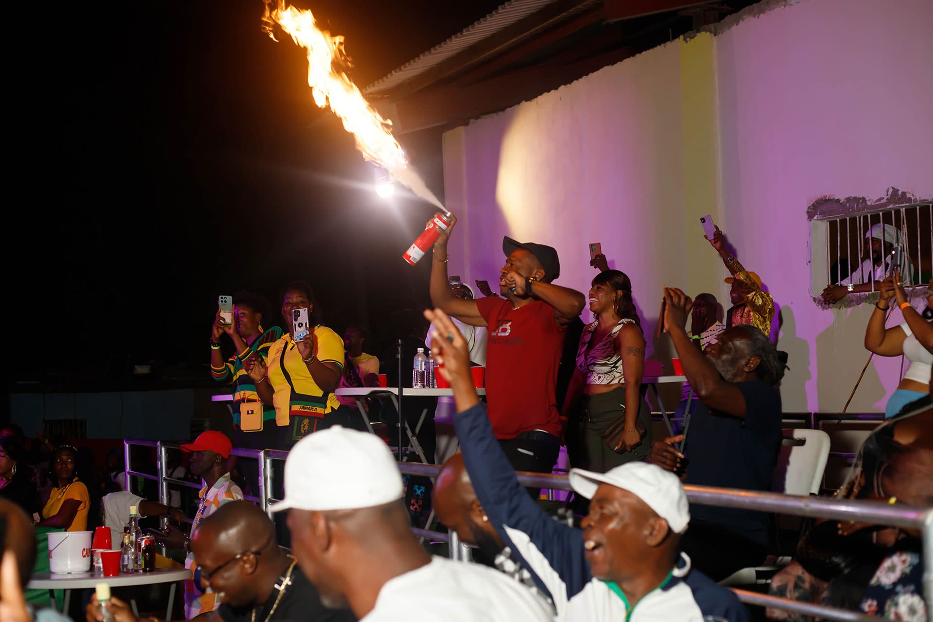 Reggae Fusion hero 1